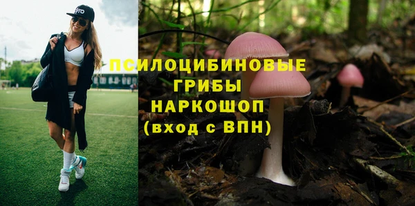 твердый Алексин