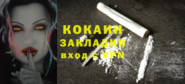 твердый Алексин