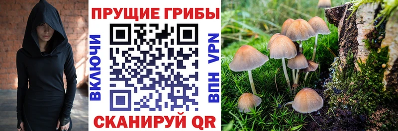 Псилоцибиновые грибы мухоморы  цены   Звенигово 